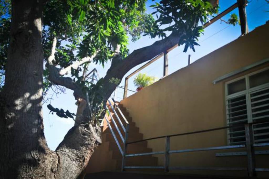 Villa Coral Guesthouse Vieques Eksteriør billede